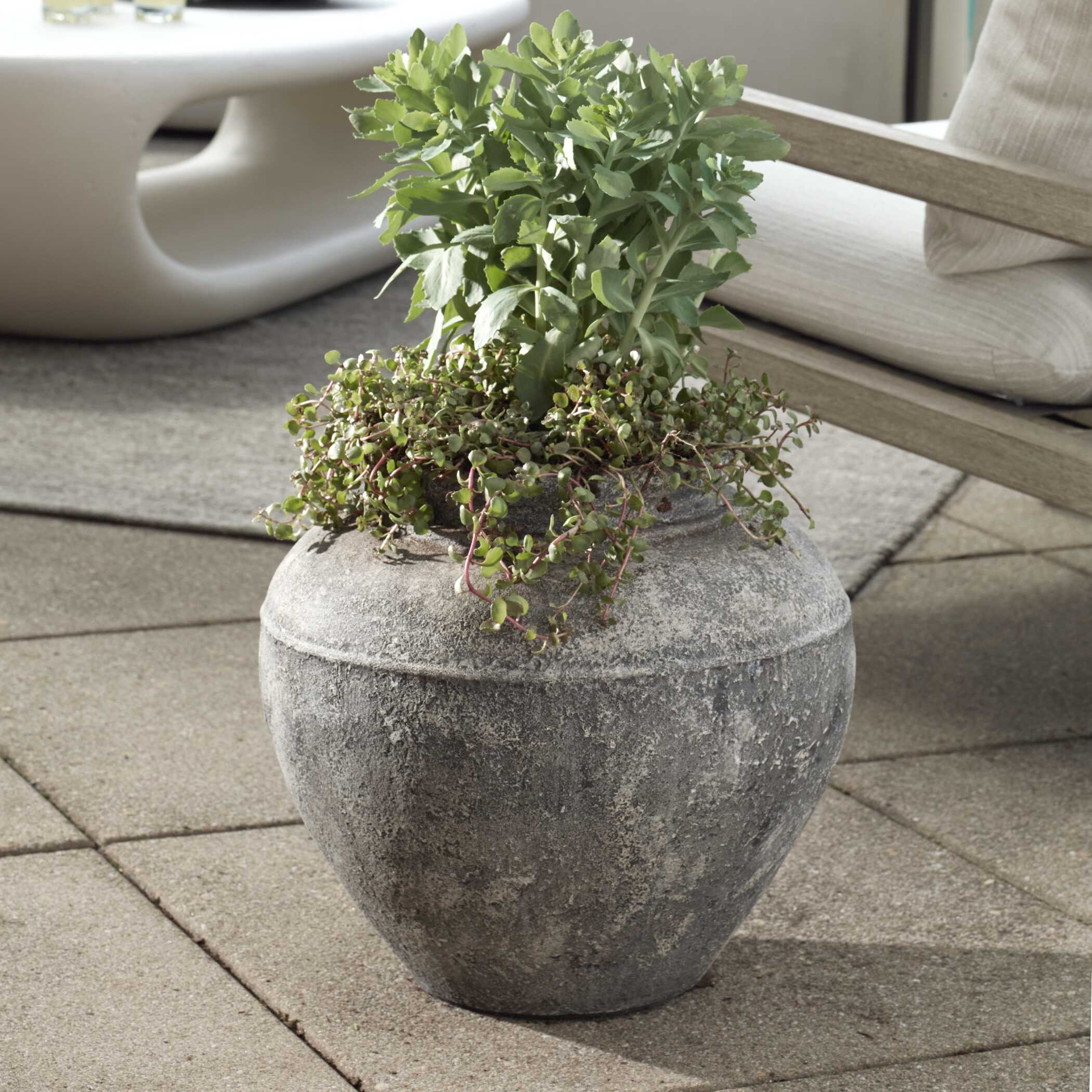 Abbyson Home Echoes Of Time Concrete Outdoor Planter
