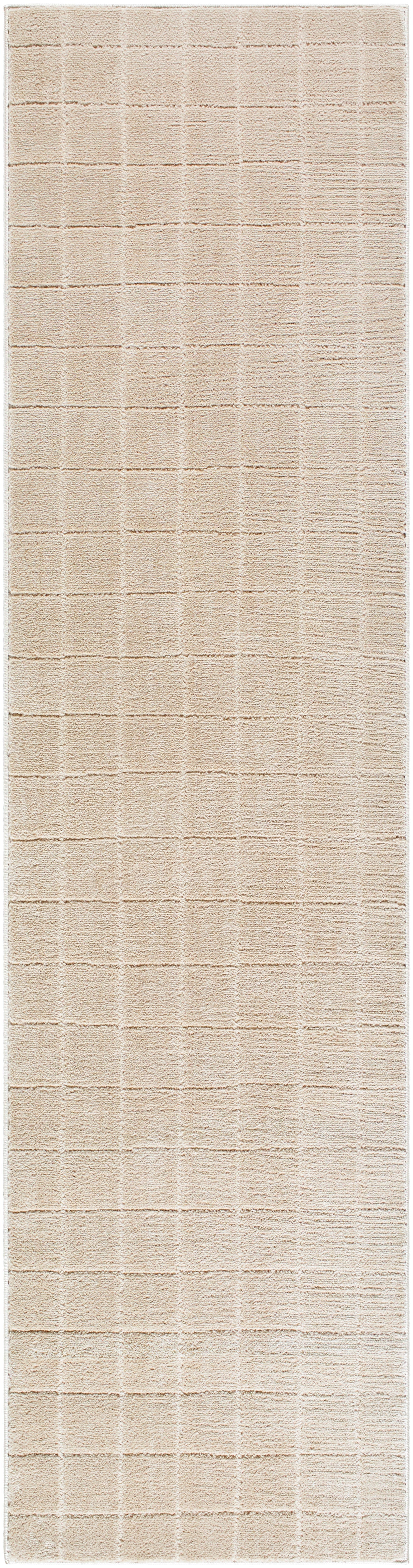 JoJo Fletcher Ranier Machine Woven Rug