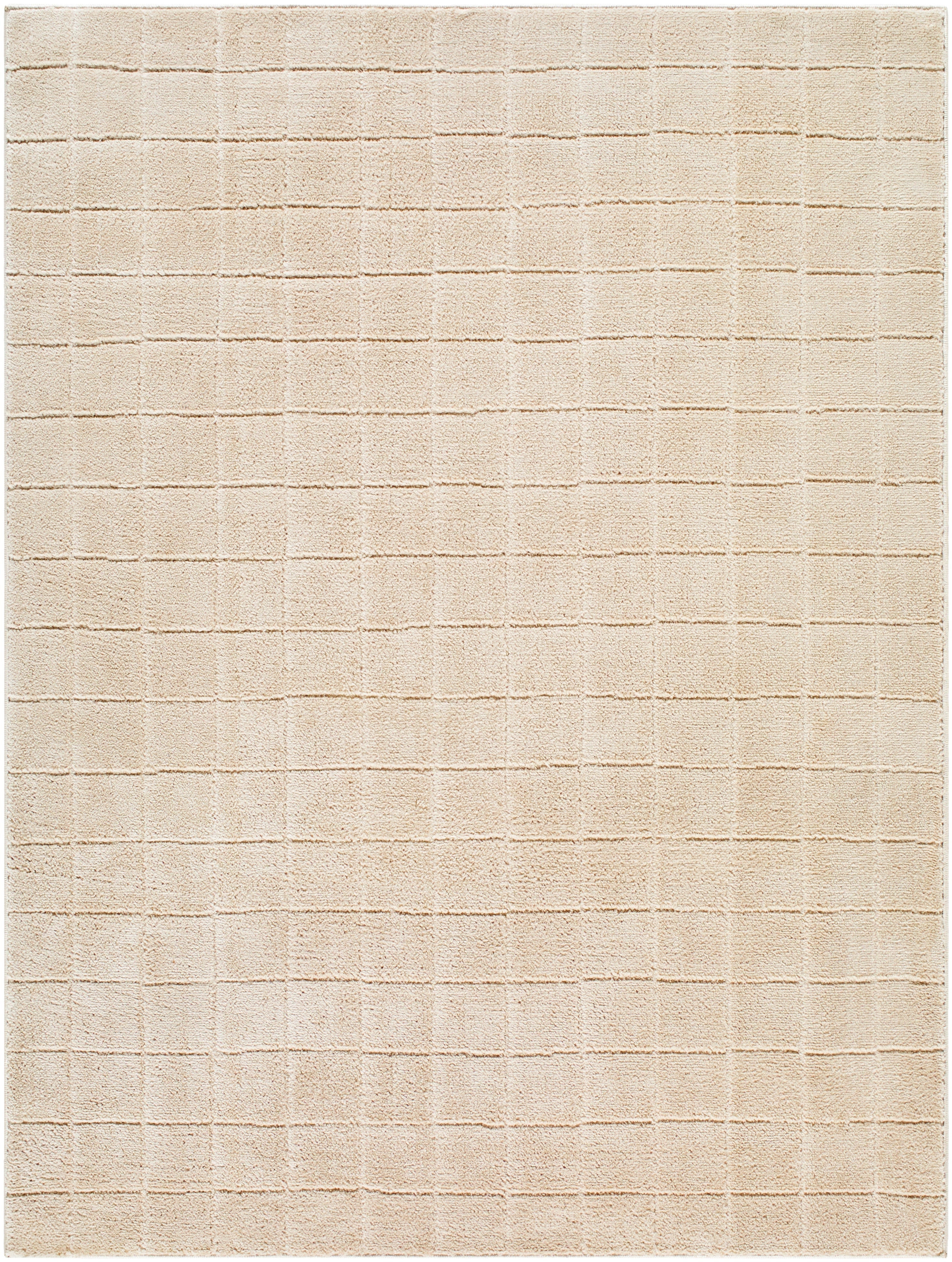 JoJo Fletcher Ranier Machine Woven Rug