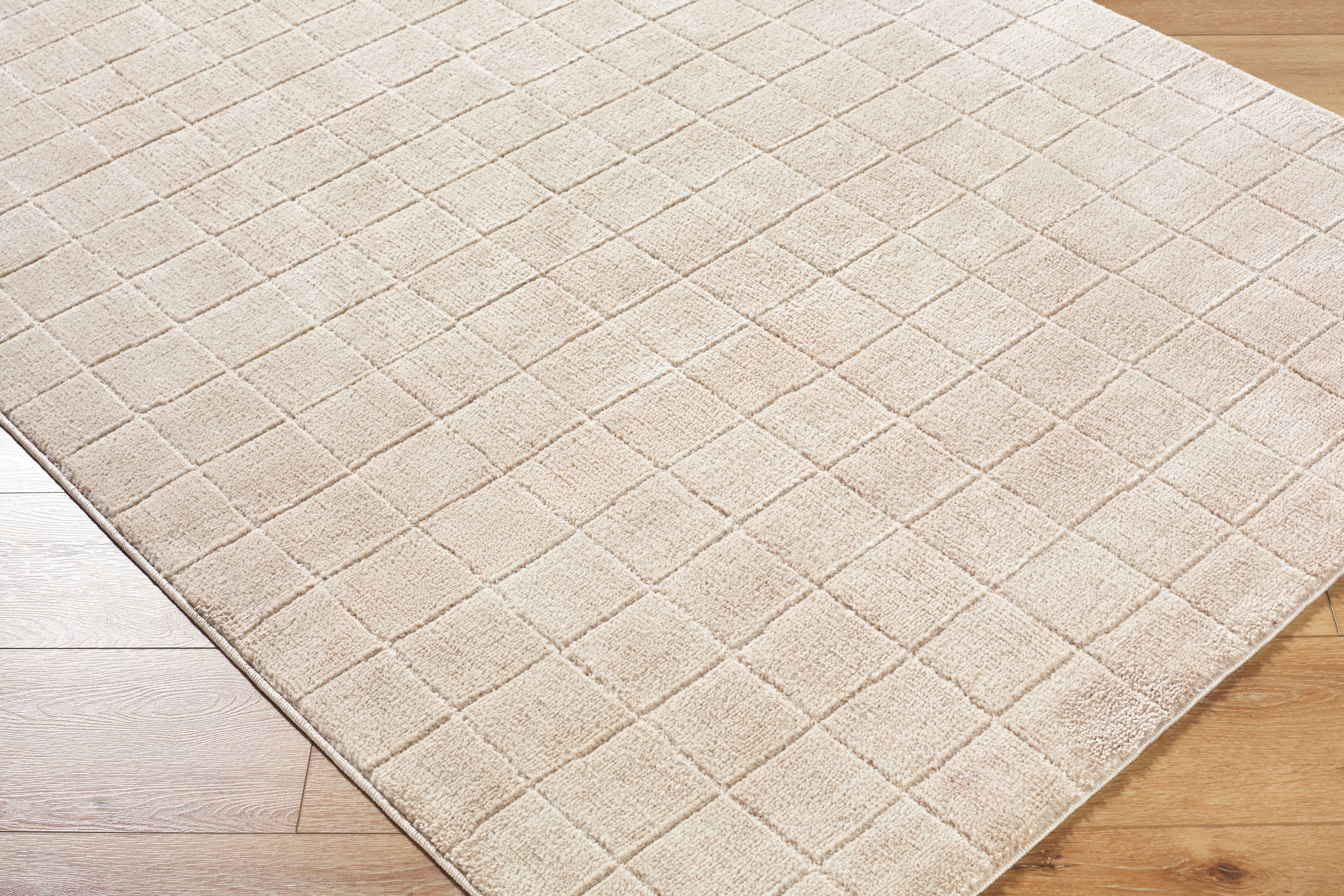 JoJo Fletcher Ranier Machine Woven Rug