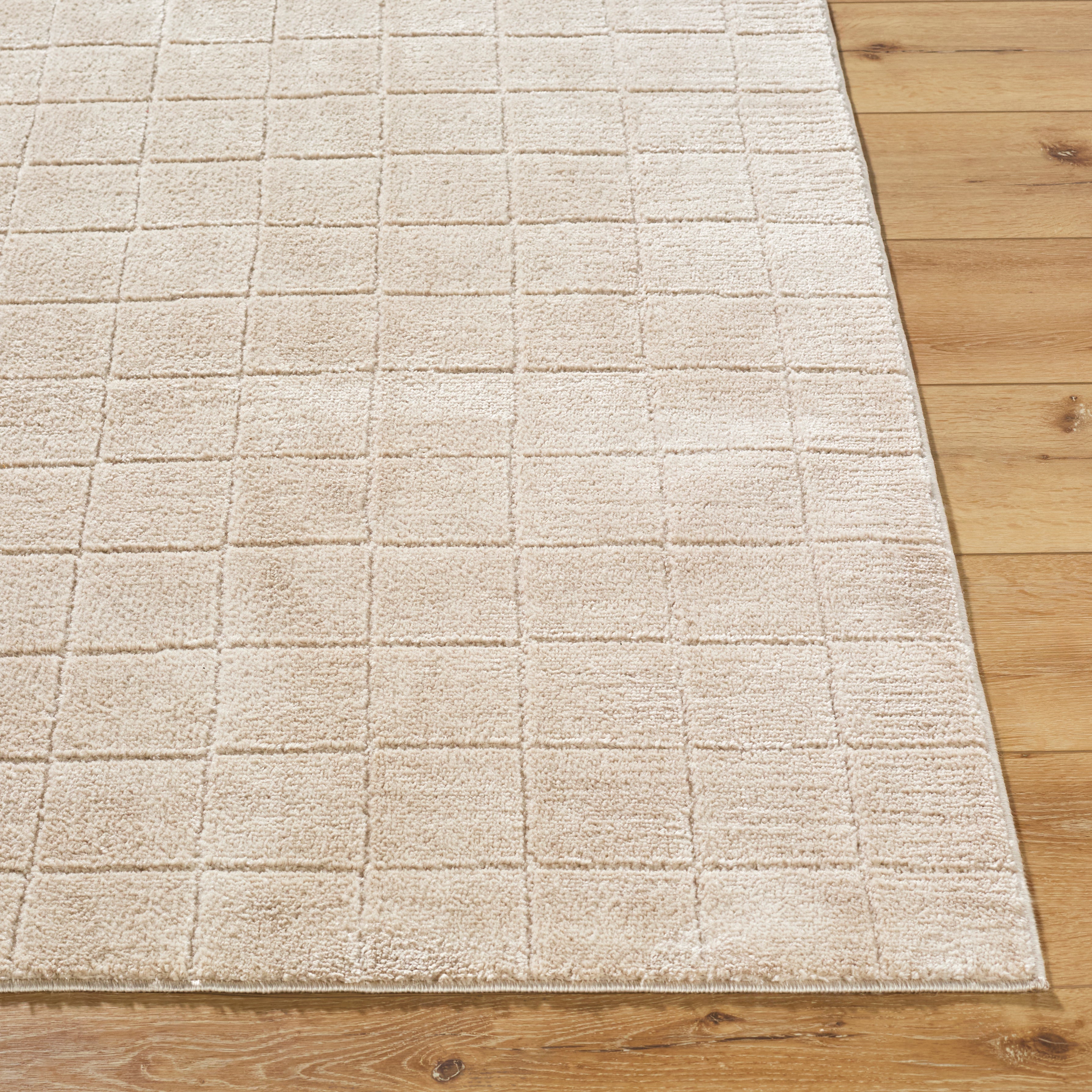JoJo Fletcher Ranier Machine Woven Rug