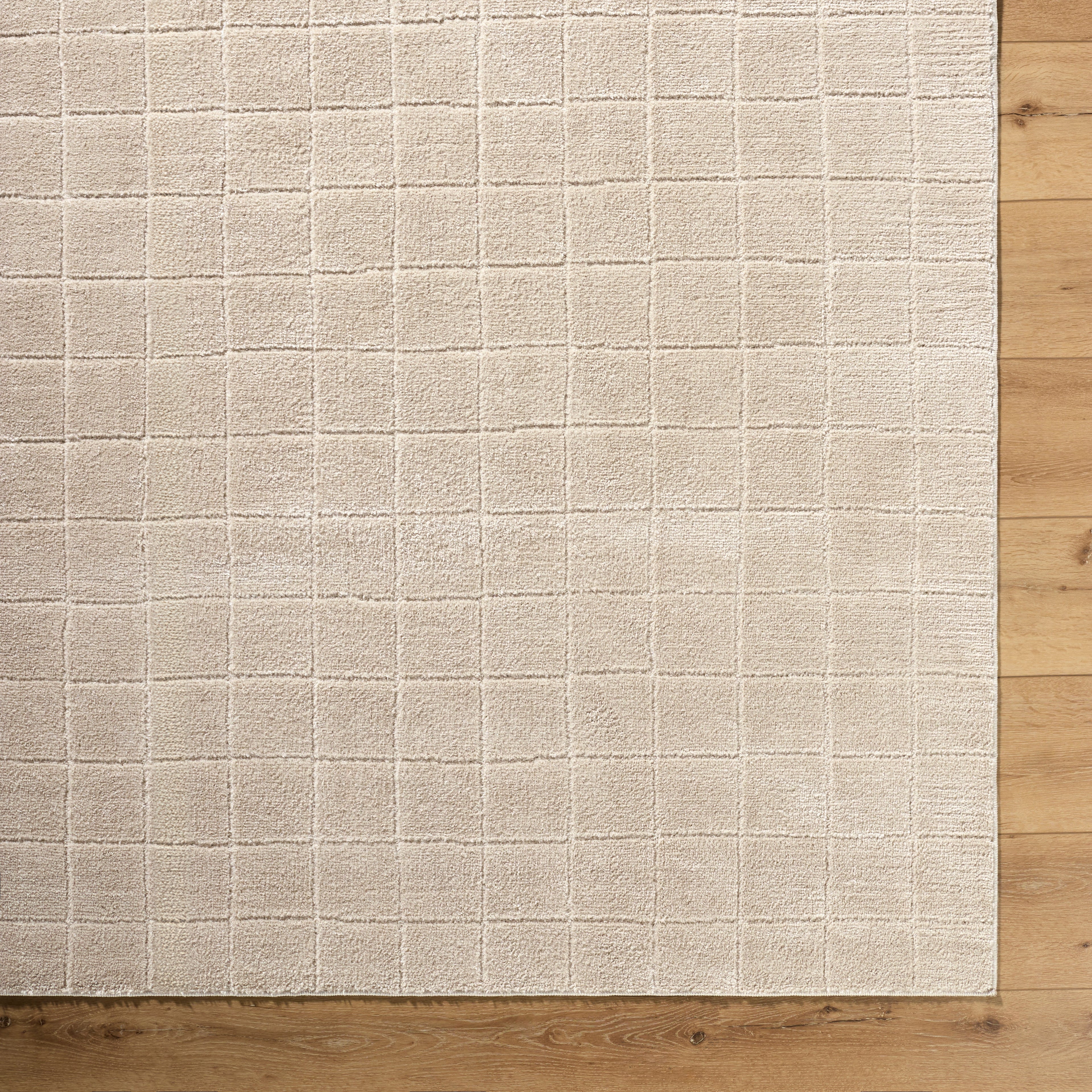 JoJo Fletcher Ranier Machine Woven Rug