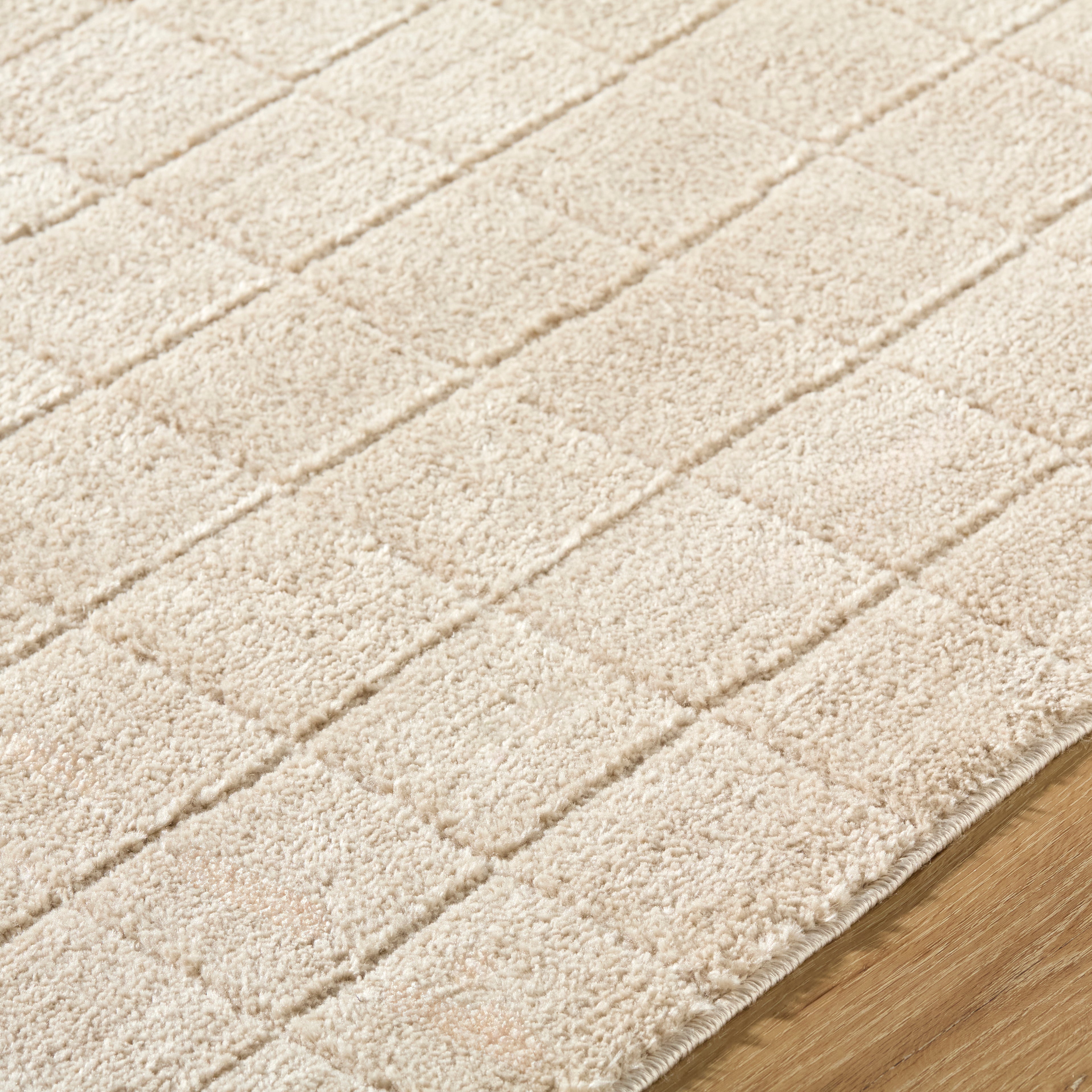 JoJo Fletcher Ranier Machine Woven Rug