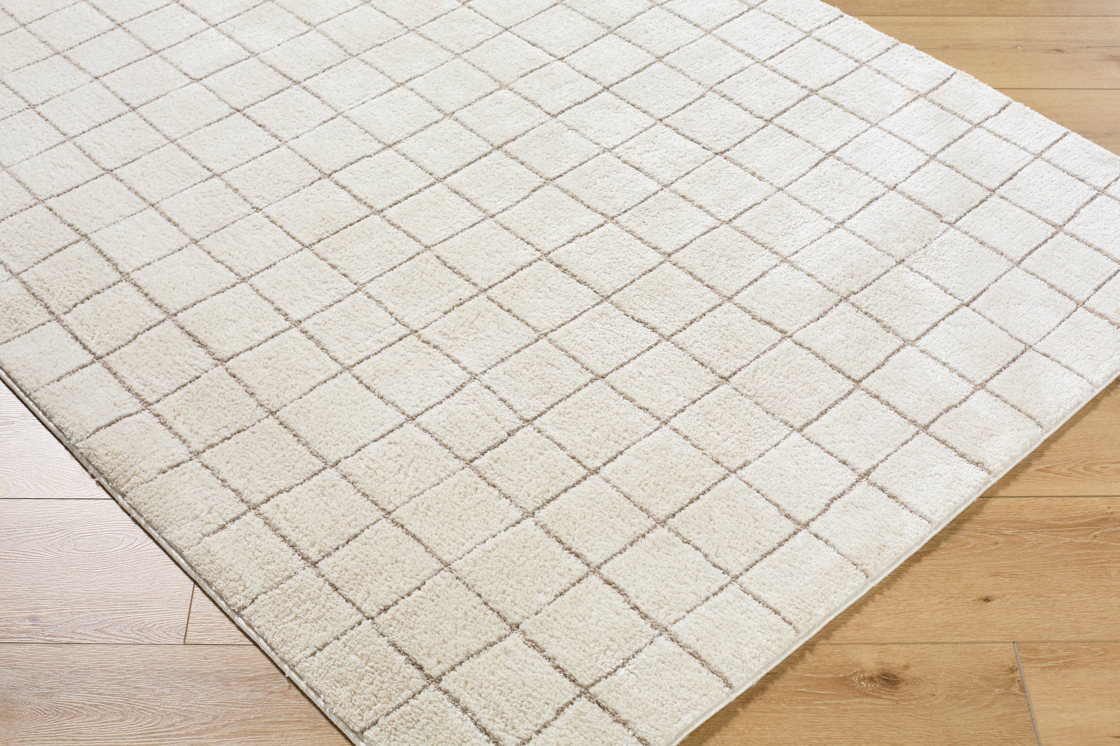 JoJo Fletcher Ranier Machine Woven Rug