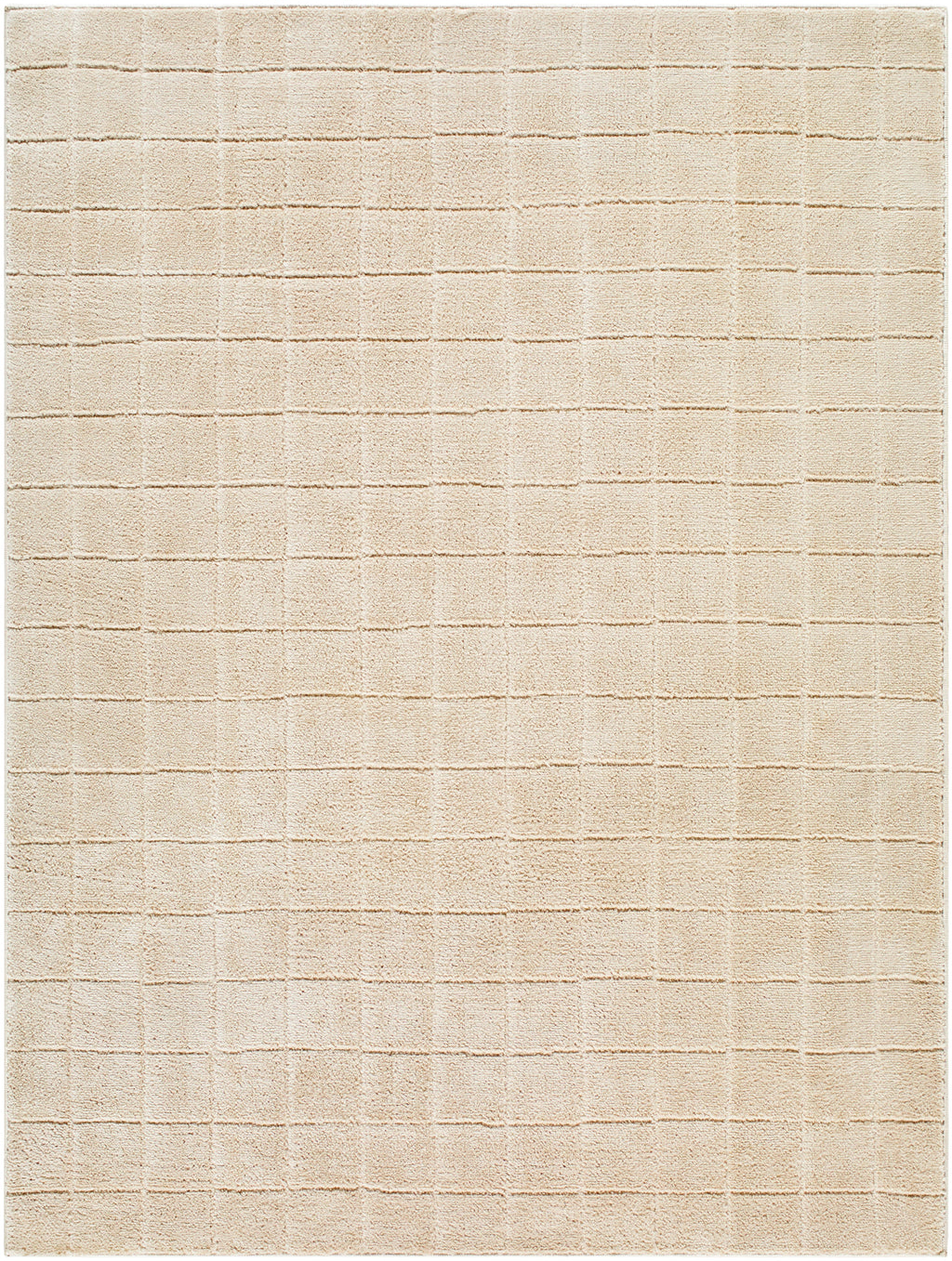 JoJo Fletcher Ranier Machine Woven Rug