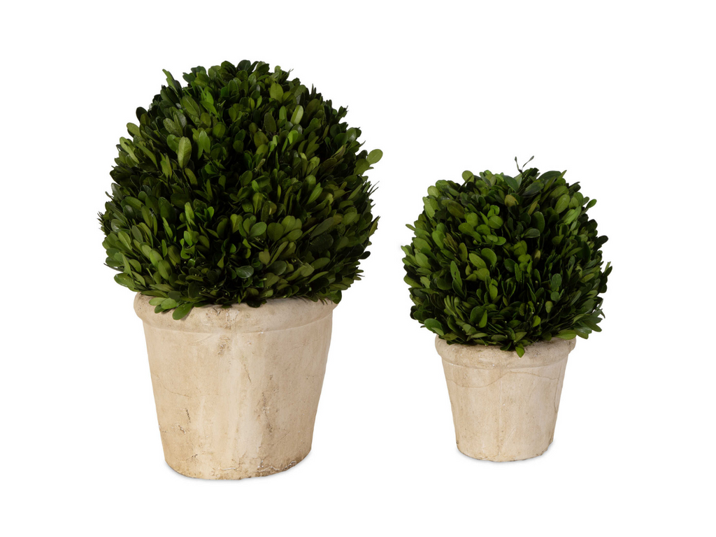 Abbyson Home Percy Oval Domes, Set of 2