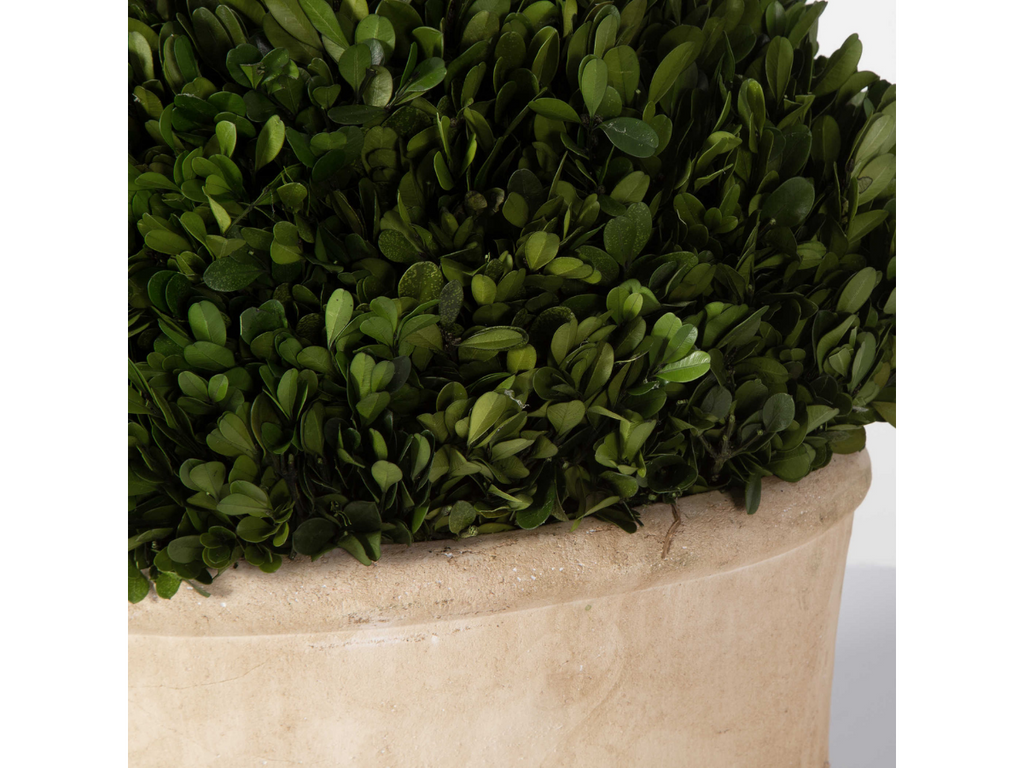 Abbyson Home Percy Oval Domes, Set of 2