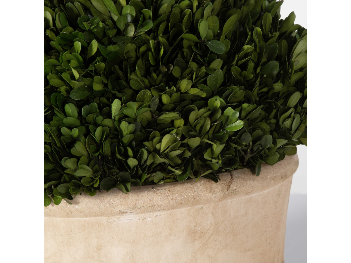 Abbyson Home Percy Oval Domes, Set of 2