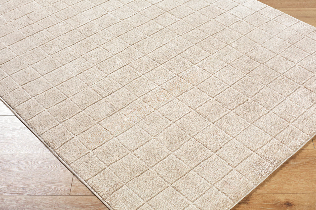 JoJo Fletcher Ranier Machine Woven Rug