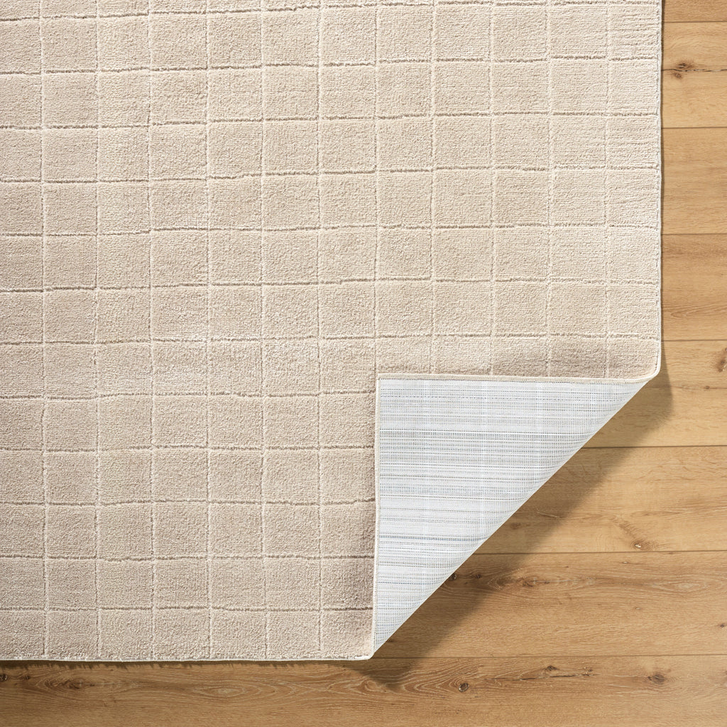 JoJo Fletcher Ranier Machine Woven Rug