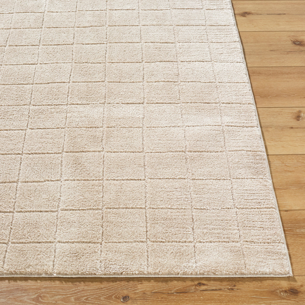 JoJo Fletcher Ranier Machine Woven Rug