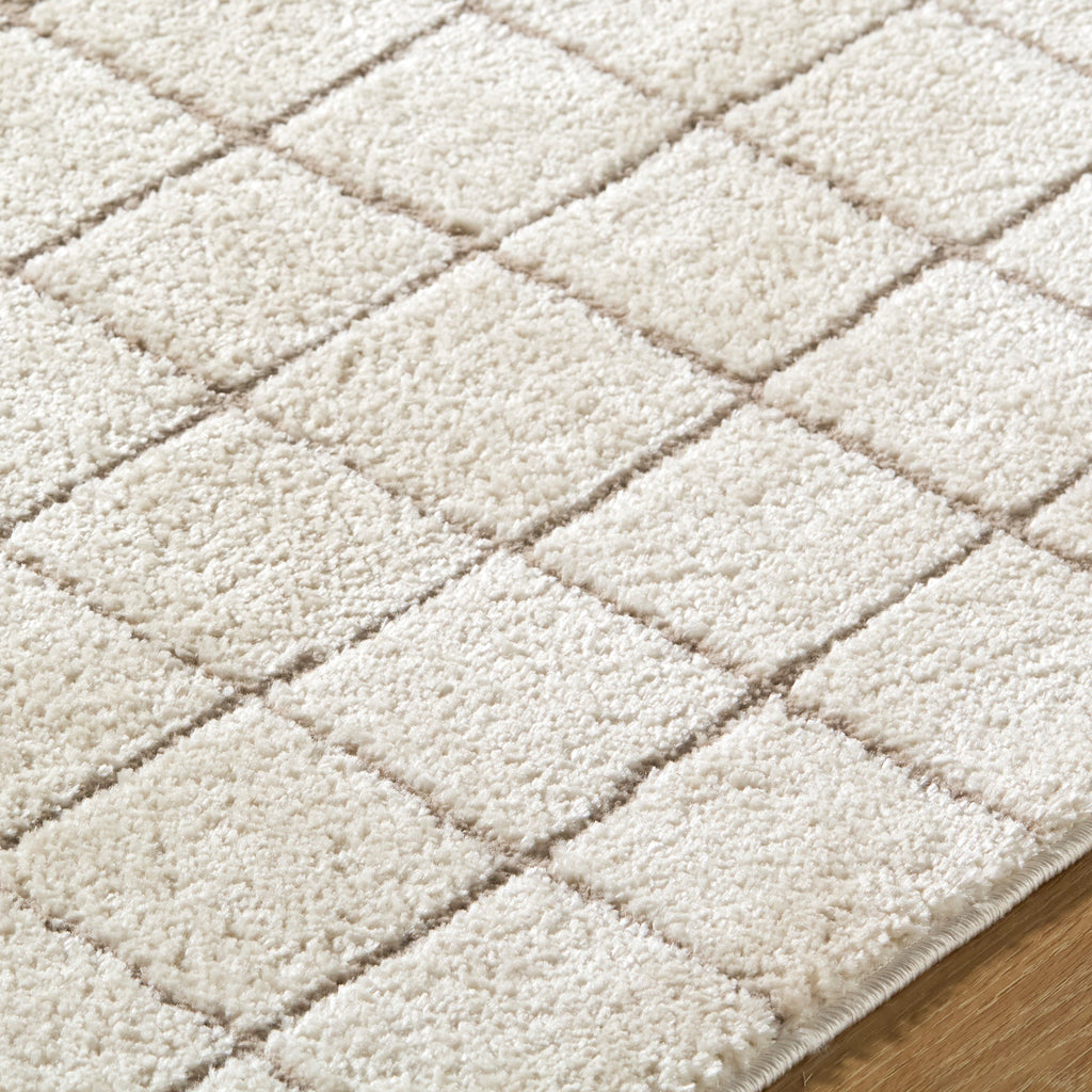 JoJo Fletcher Ranier Machine Woven Rug
